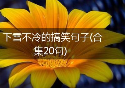 下雪不冷的搞笑句子(合集20句)