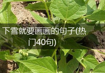 下雪就要画画的句子(热门40句)