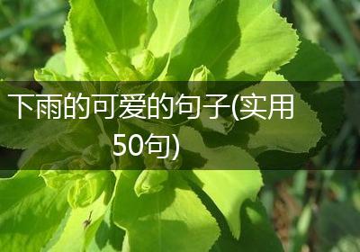 下雨的可爱的句子(实用50句)