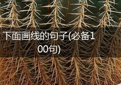下面画线的句子(必备100句)