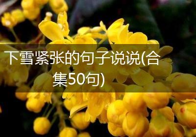 下雪紧张的句子说说(合集50句)