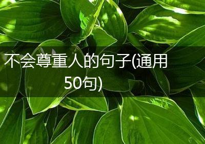 不会尊重人的句子(通用50句)