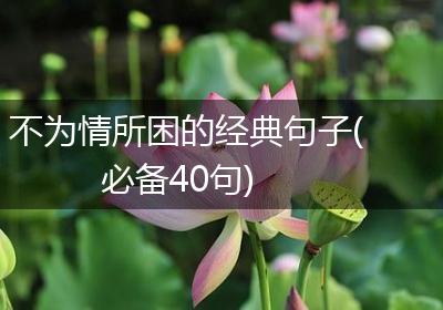 不为情所困的经典句子(必备40句)