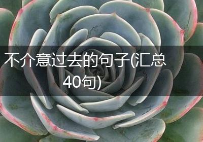 不介意过去的句子(汇总40句)