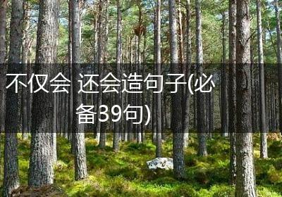 不仅会 还会造句子(必备39句)