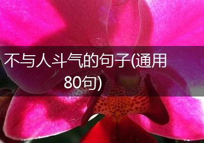 不与人斗气的句子(通用80句)