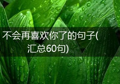 不会再喜欢你了的句子(汇总60句)