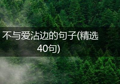不与爱沾边的句子(精选40句)