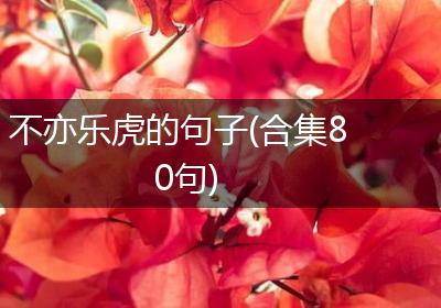 不亦乐虎的句子(合集80句)