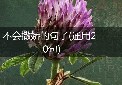 不会撒娇的句子(通用20句)