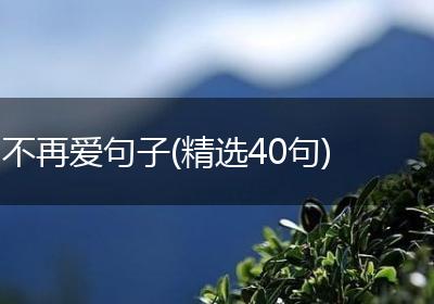 不再爱句子(精选40句)