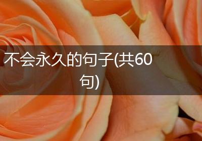 不会永久的句子(共60句)