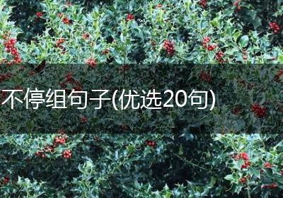 不停组句子(优选20句)