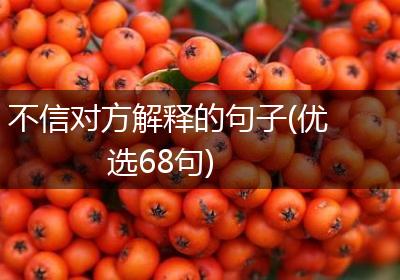 不信对方解释的句子(优选68句)