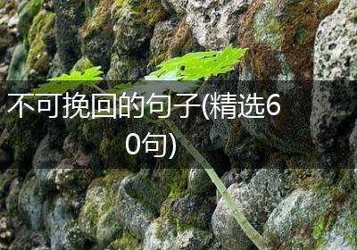 不可挽回的句子(精选60句)