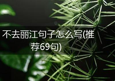 不去丽江句子怎么写(推荐69句)