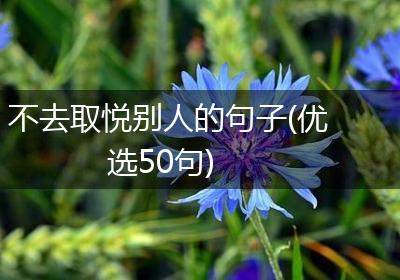 不去取悦别人的句子(优选50句)