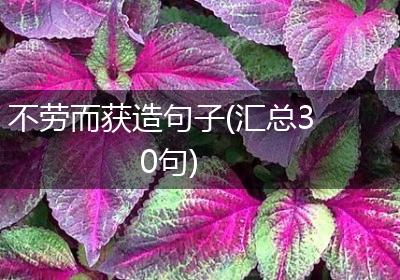 不劳而获造句子(汇总30句)