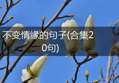 不变情缘的句子(合集20句)
