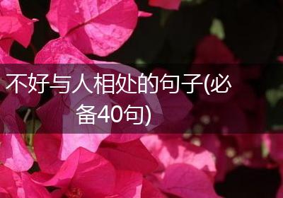 不好与人相处的句子(必备40句)