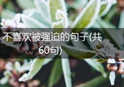 不喜欢被强迫的句子(共60句)