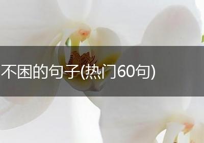 不困的句子(热门60句)