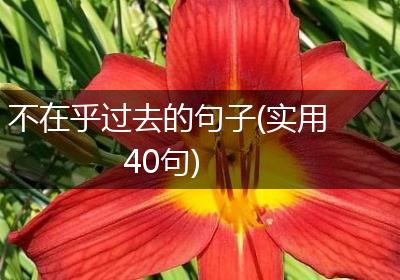 不在乎过去的句子(实用40句)