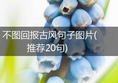 不图回报古风句子图片(推荐20句)