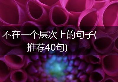 不在一个层次上的句子(推荐40句)