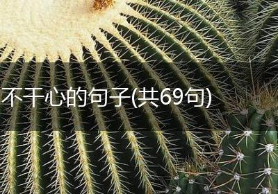 不干心的句子(共69句)