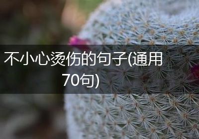 不小心烫伤的句子(通用70句)