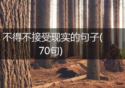 不得不接受现实的句子(70句)