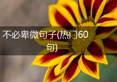 不必卑微句子(热门60句)