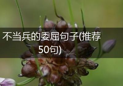 不当兵的委屈句子(推荐50句)
