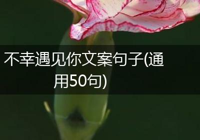 不幸遇见你文案句子(通用50句)