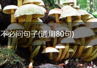 不必问句子(通用80句)