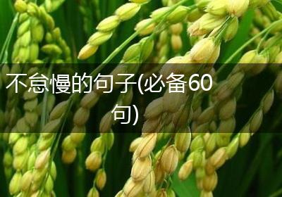 不怠慢的句子(必备60句)