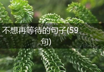 不想再等待的句子(59句)