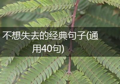 不想失去的经典句子(通用40句)