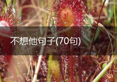 不想他句子(70句)