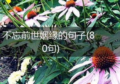 不忘前世姻缘的句子(80句)