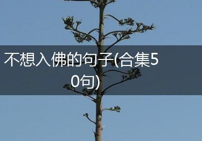 不想入佛的句子(合集50句)