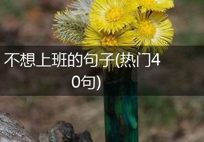 不想上班的句子(热门40句)
