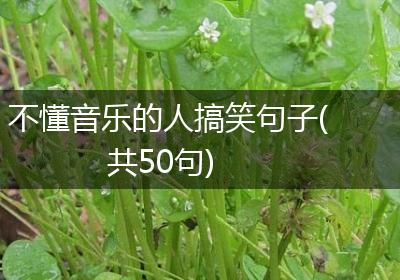 不懂音乐的人搞笑句子(共50句)