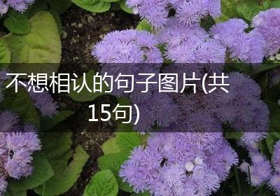 不想相认的句子图片(共15句)