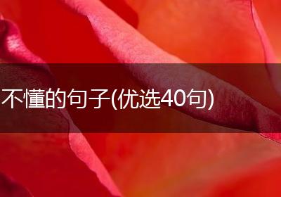 不懂的句子(优选40句)