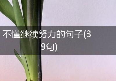 不懂继续努力的句子(39句)