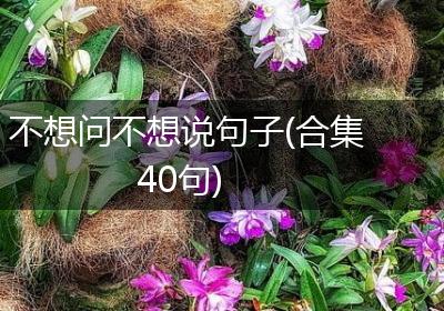 不想问不想说句子(合集40句)