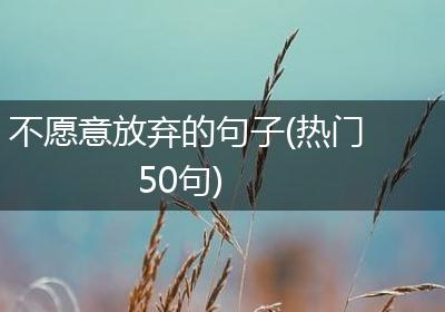 不愿意放弃的句子(热门50句)