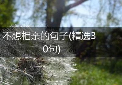 不想相亲的句子(精选30句)